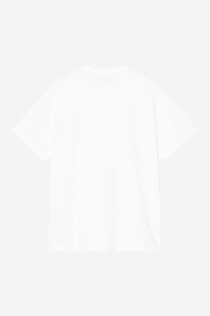 S/S Theory And Practice T-S