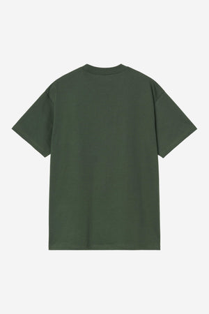 S/S Theory And Practice T-S